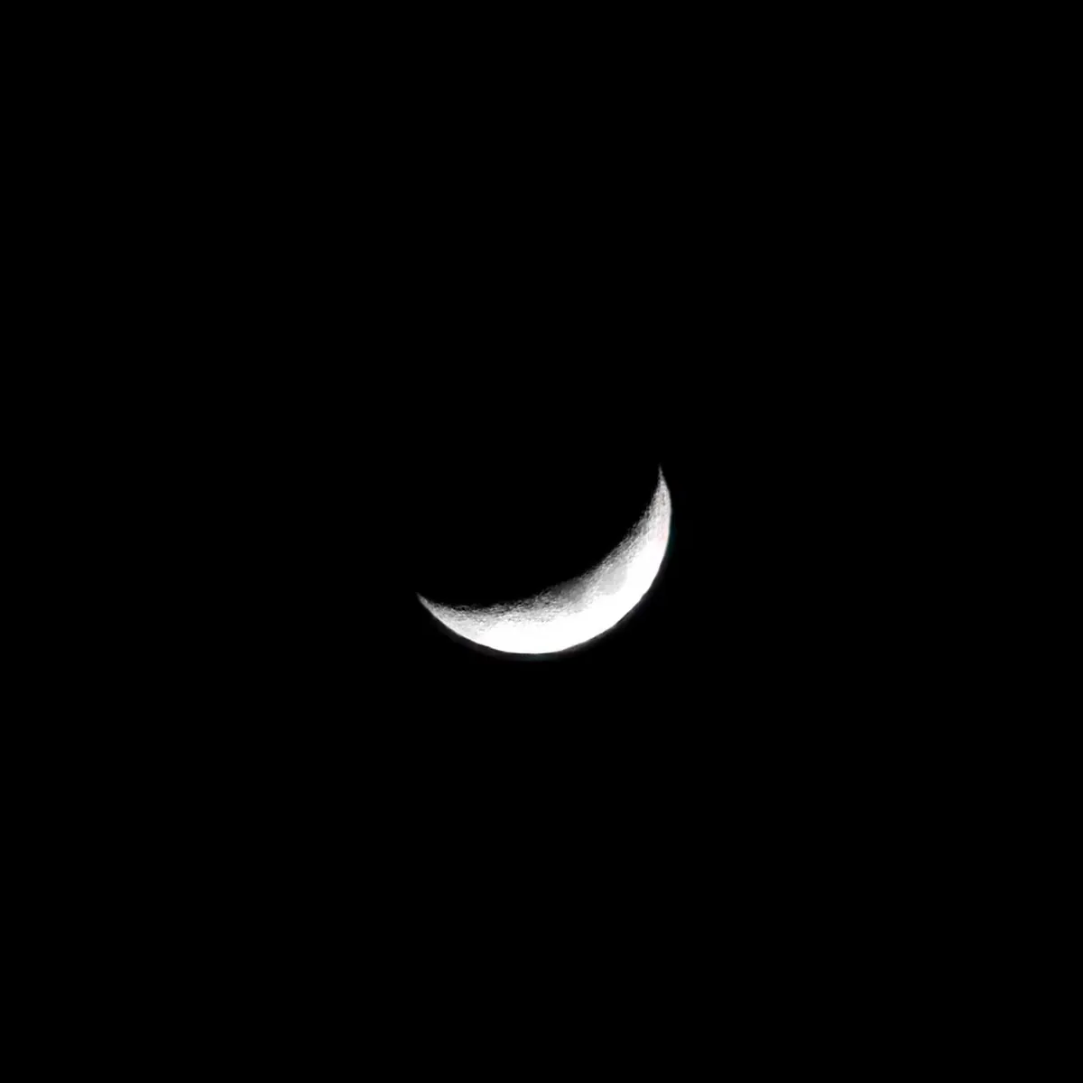 A thin crescent Moon in a black night sky