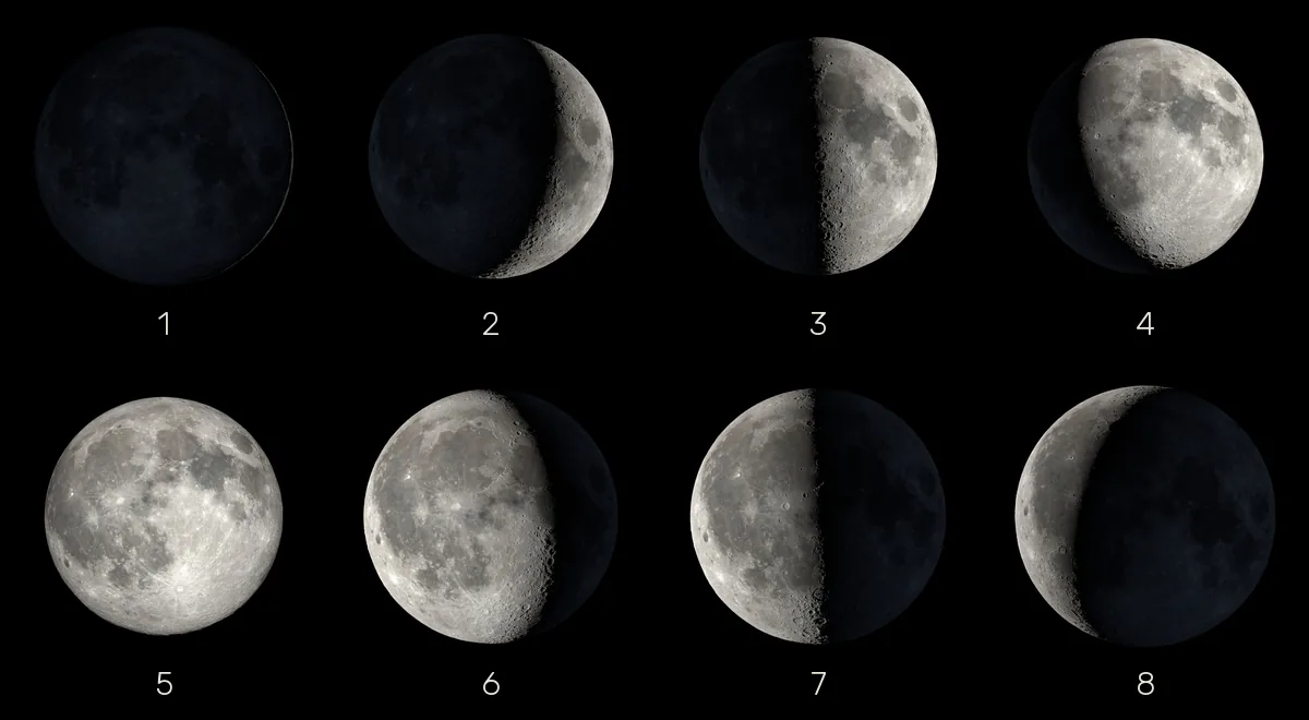 The eight phases of the Moon in order, from new moon to waning crescent, numbered as in the list