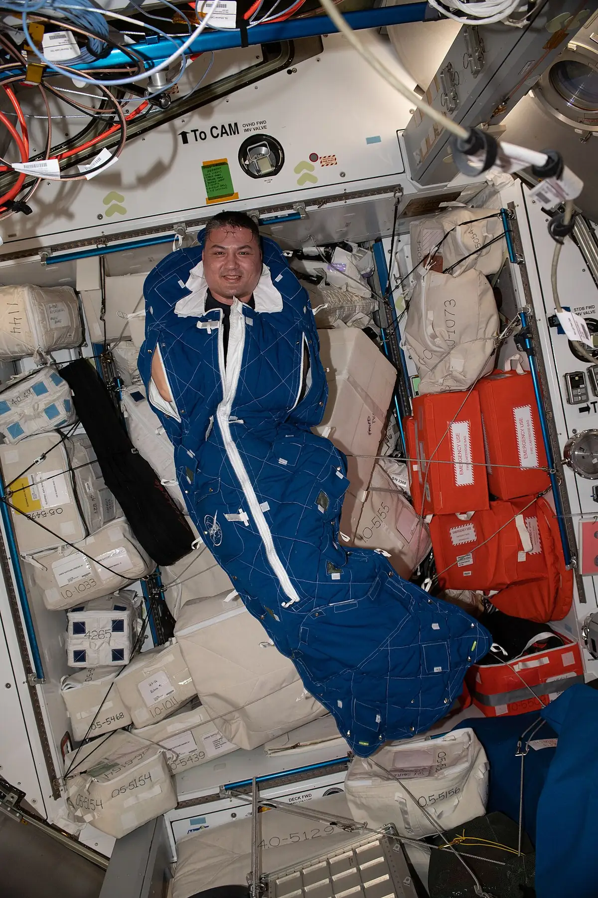 An astronaut in a sleeping bag fixed to the wall of a crew cabin on the ISS